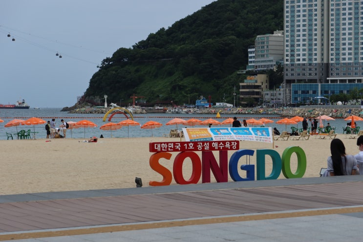  부산 송도해수욕장 강아지 산책 1박2일 코스