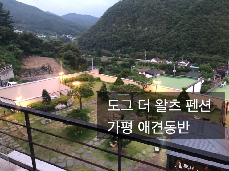  [가평여행] 도그더왈츠 펜션.  애견동반펜션!!!! 펜션 옆에 계곡, 애견동반 수영장 그리고 바베큐까지