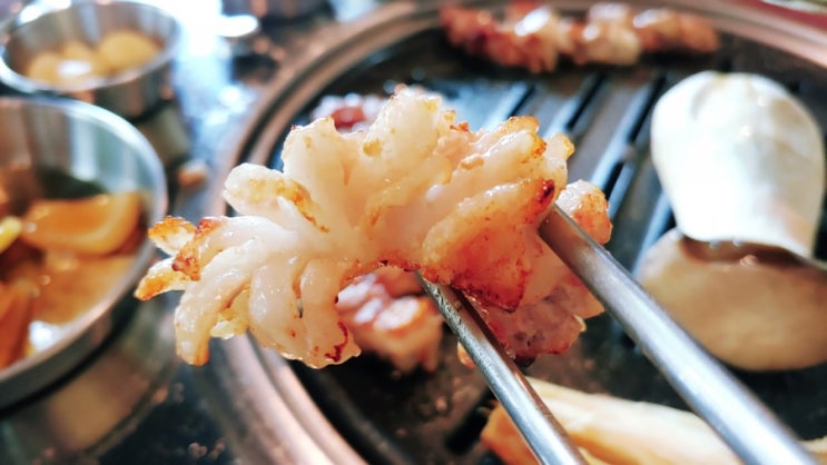 노형동맛집 칼꽃삼겹살 인생 맛 선영이네고기집 노형동맛집 칼꽃삼겹살 인생 맛 선영이네고기집