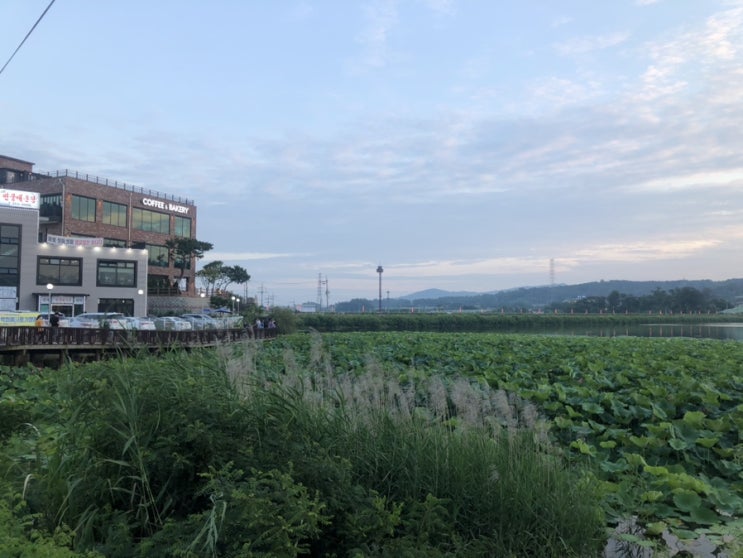  화성,수원 가볼만한곳, 드라이브 야경보러가기 좋은 보통리저수지