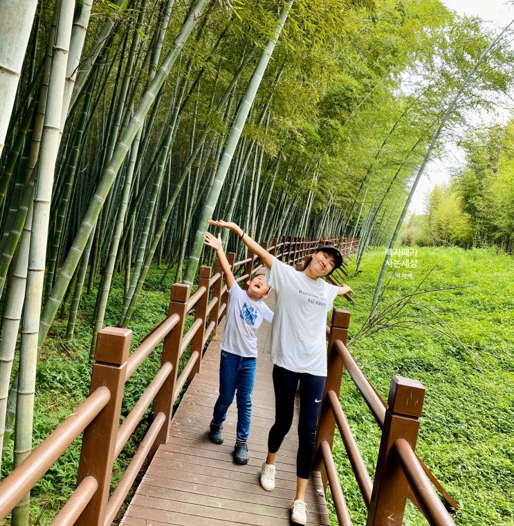 경남 가볼만한곳 진주 가좌산 대나무숲 아이와 함께 걷기 좋은 산책로