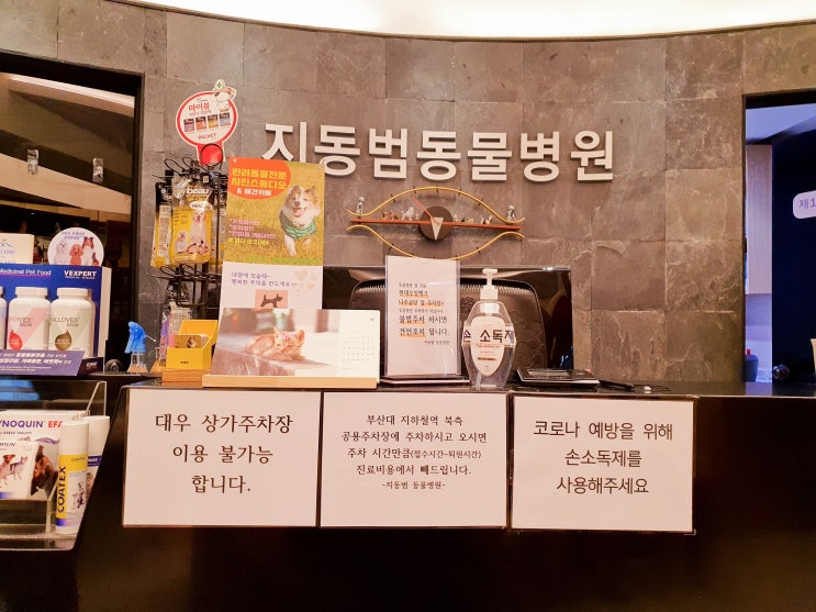  부산 지동범 동물병원 강아지 안과전문 눈검사 주기적으로
