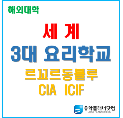 [요리학교] 요리 세계3대학교 르꼬르동블루, CIA, ICIF