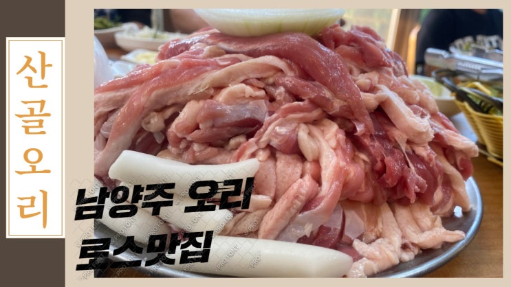 남양주 오리로스맛집 별내 산골오리 푸짐하고 맛있어서 자꾸 가고 싶은 오리고기맛집