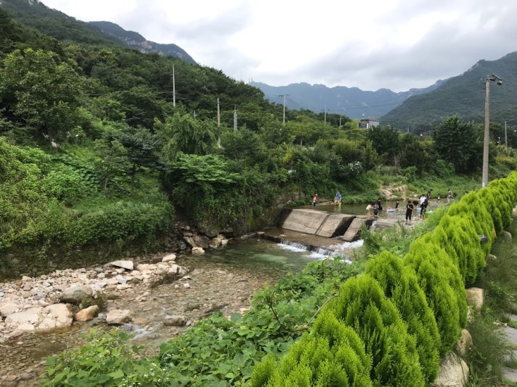  [매일 일기 쓰기] #59 계룡산에서 브런치, 커피 한 잔