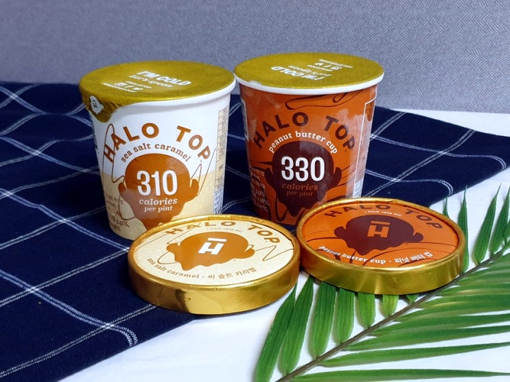  GS25 저칼로리 아이스크림 헤일로탑(HALO TOP) 2종 후기