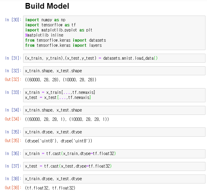  Model 구축 및 Optimizer 후 실전Training 시키기