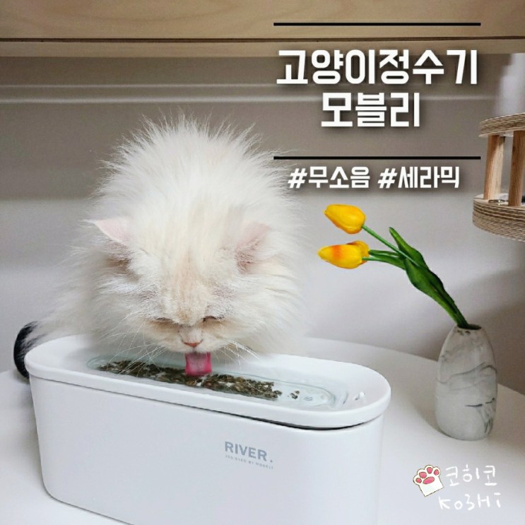 고양이정수기] 모볼리 맥반석 세라믹급수기_무소음, 3중필터_ 음수량늘리기