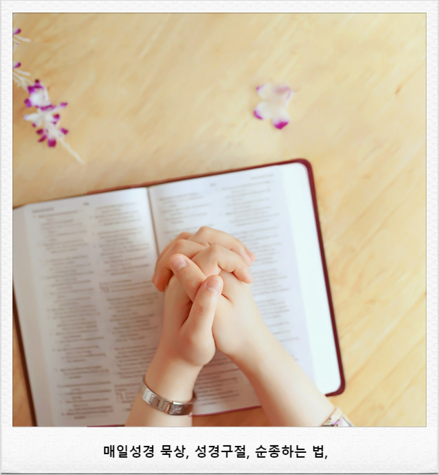  [매일성경 묵상] 순종에 관한 성경 구절 ― 하나님께 순종하는 법을 배우다