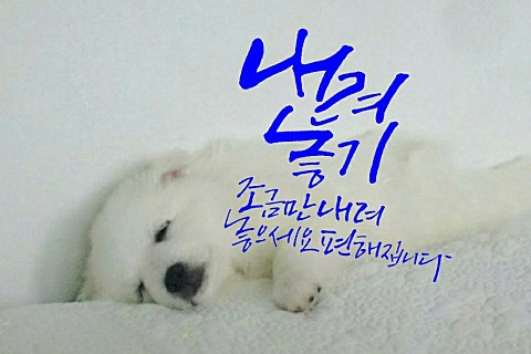 주식회사 단꿈 이미지
