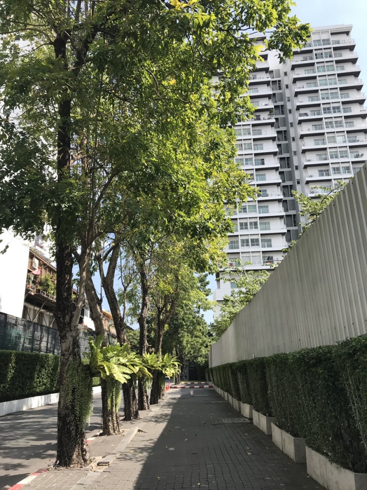  초록초록 했던 태국여행