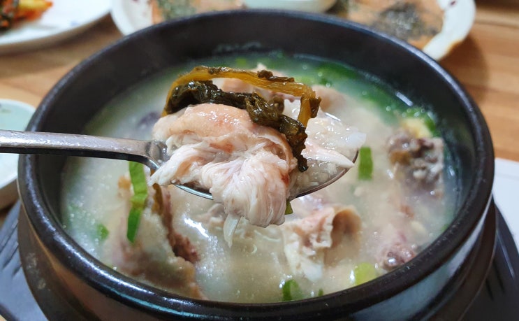  419탑 맛집 크을농에서 장뇌 삼계탕