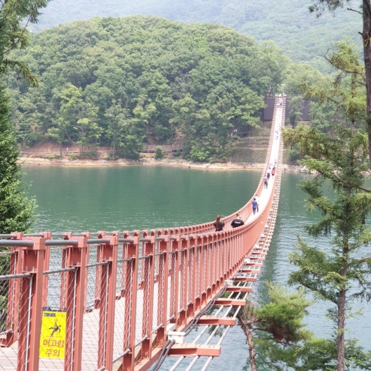  파주 가볼만한곳 마장호수 출렁다리 꼭 가보고 싶었던곳