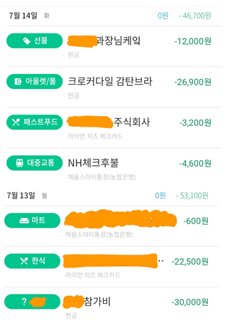  일주일 가계부 정리 - 7월 3주차(수입, 소비, 반성 등)