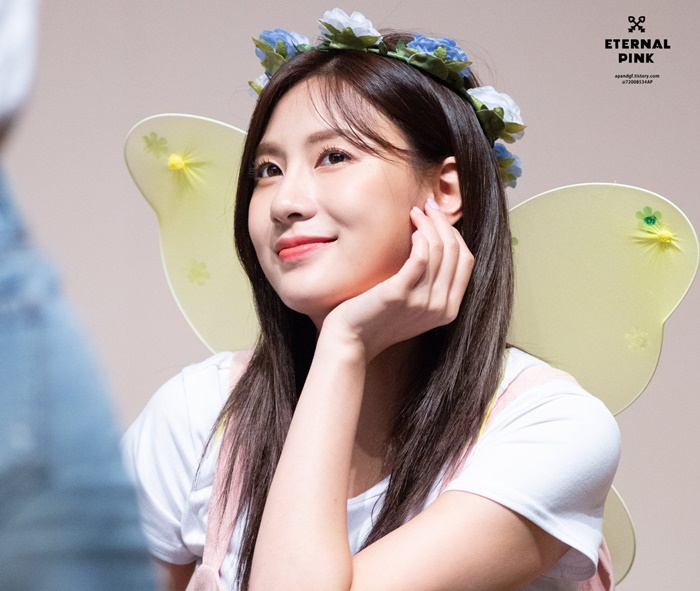 냉이 오구오구 해주는 아이돌 에이핑크 냉이 오구오구 해주는 아이돌 에이핑크