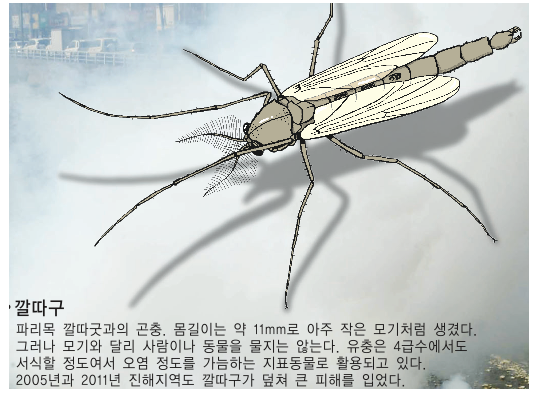  인천 수돗물 깔따구 유충 인체 유해성 유무 논란팩트 체크