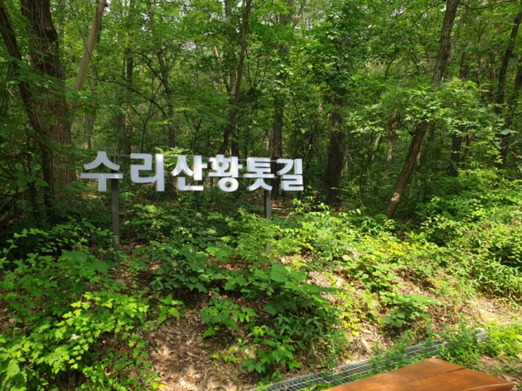 수리산 주말 산책 수리산황톳길 힐링하고 왔어요 수리산 주말 산책 수리산황톳길 힐링하고 왔어요