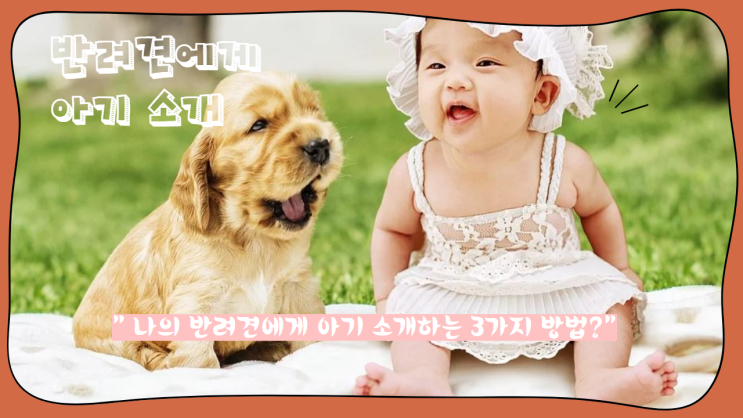  나의 사랑스런 아기 출산후, 반려견에게 태어날 아기를 소개해 줄 3가지 방법은?