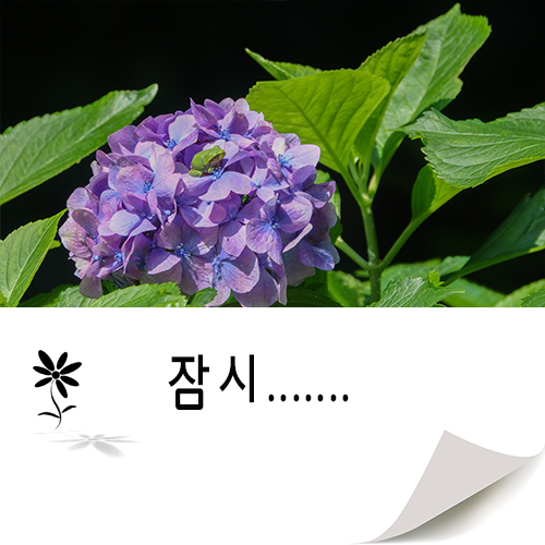  잠시 ...
