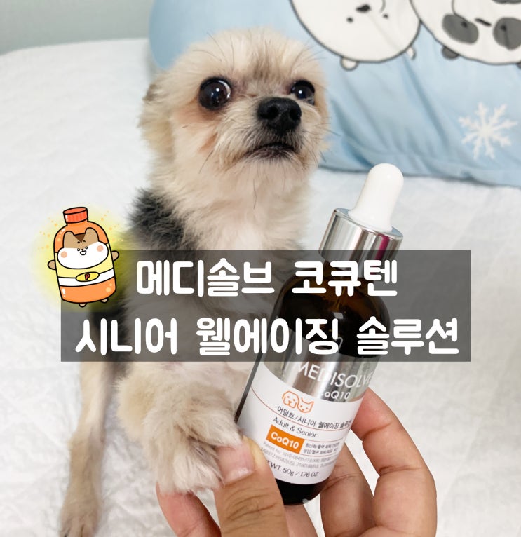  메디솔브 활력과 면역력이 떨어진 우리 또또를 위한 시니어 강아지 영양제