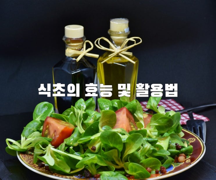 식초의 효능 및 활용법 식초의 효능 및 활용법