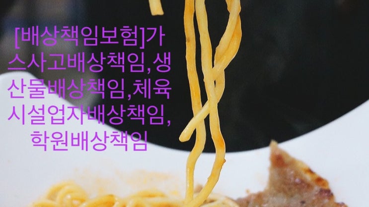  [배상책임보험]가스사고배상책임,생산물배상책임,체육시설업자배상책임,학원배상책임