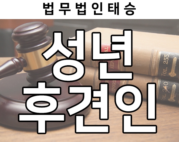  성년후견제도가 필요한 경우, 절차, 성공사례