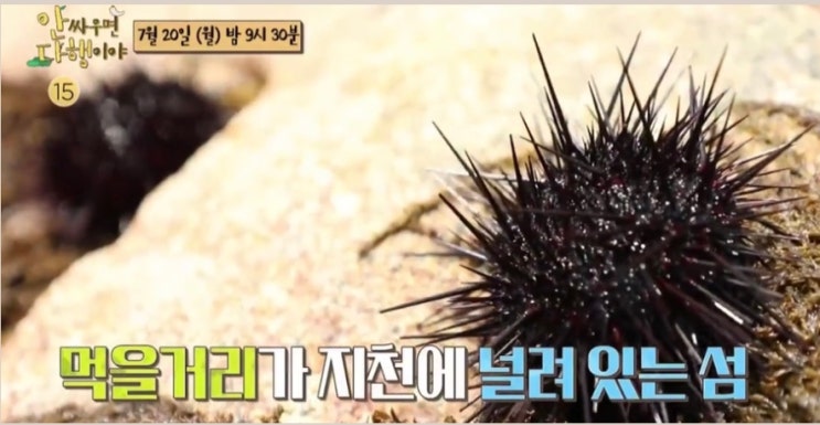  안싸우면 다행이야 누구 얘기지? 우리 얘기인가?