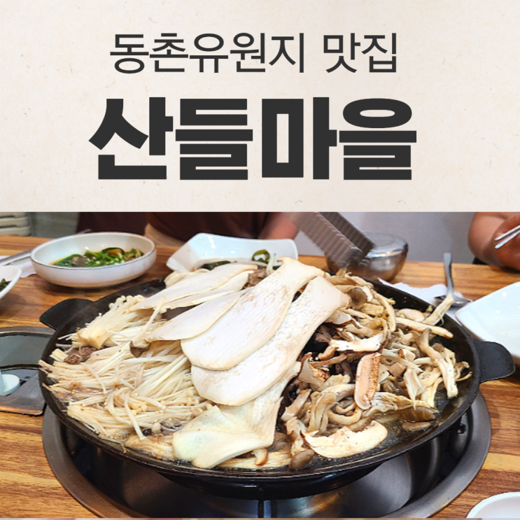  대구 동촌유원지 맛집 버섯전문점 산들마을