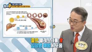  폴리코사놀 혈관청소 콜레스테롤 효과 : 노년기필수 뇌졸중 심혈관질환예방 부작용