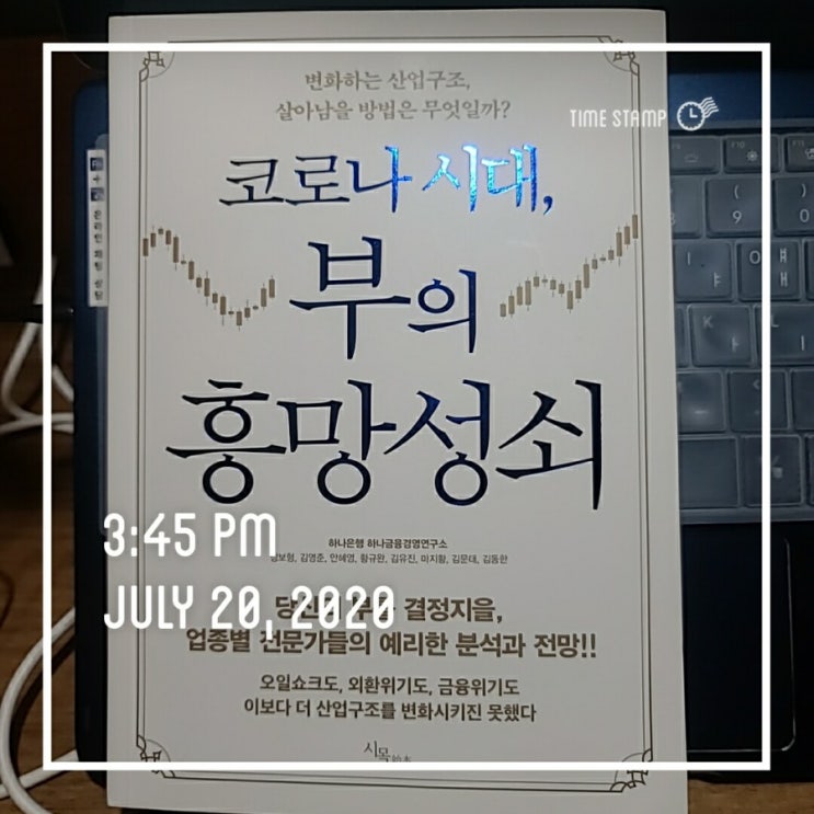  [2020-30]코로나 시대,부의 흥망성쇠 /하나은행 하나금융경영연구소