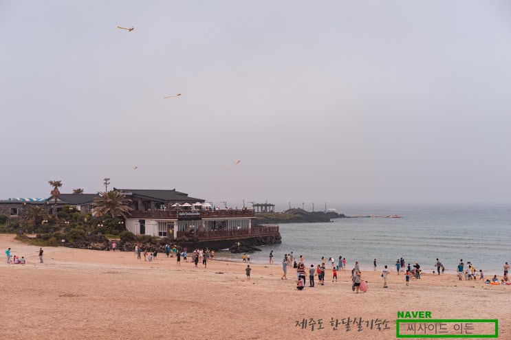  다있다. 커피&해변&등산 "함덕해수욕장&델문도&서우봉" [제주도 한달살기 숙소 씨사이드 이든 추천]