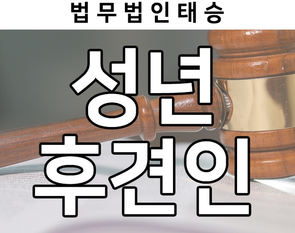 피성년후견인 절차 살펴보기