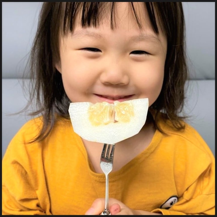  [2편] 8월 제철 음식 과일 총정리, 글 하나로 를 끝내기