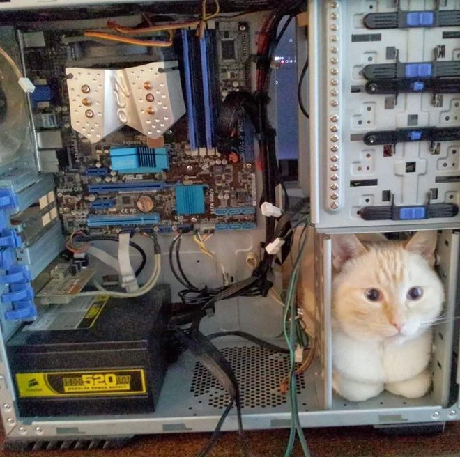 요즘 조립 PC 최고 인기 부품 요즘 조립 PC 최고 인기 부품