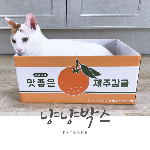 고양이 스크래쳐: 제주감귤 냥냥 밀크박스, 모던하우스 펫본 고양이 스크래쳐: 제주감귤 냥냥 밀크박스, 모던하우스 펫본