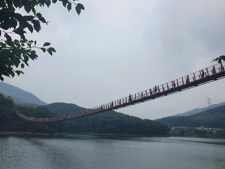  서울 근교 이만한 힐링장소는 없다! 경기도 파주 마장호수 출렁다리