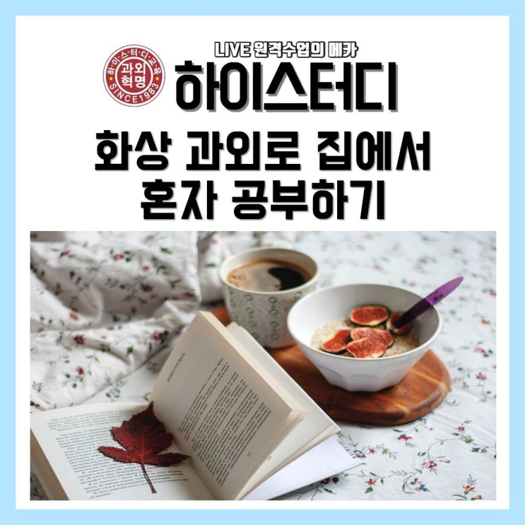  하이스터디(드림스온), 화상과외로 집에서 국영수 공부하기