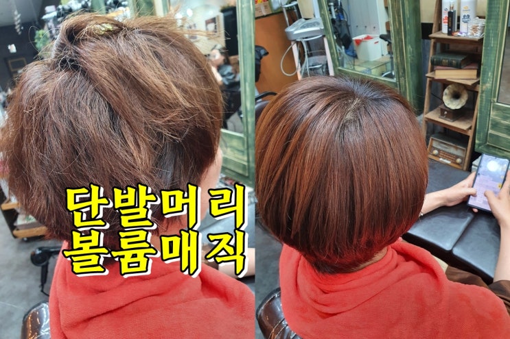  일반매직 볼륨매직 차이