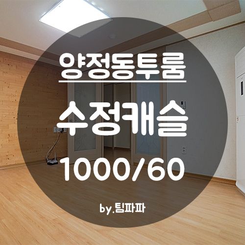  [부산 양정동] 양정역 소형아파트급 투룸 수정캐슬 월세