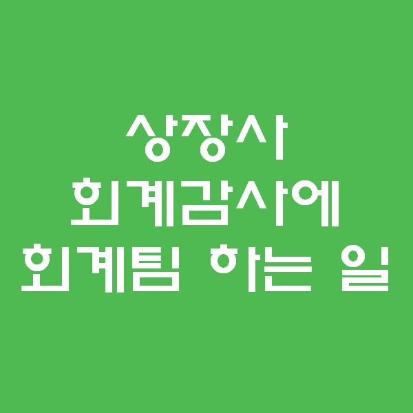  <회계팀 하는일> 반기 회계감사때 하는 일