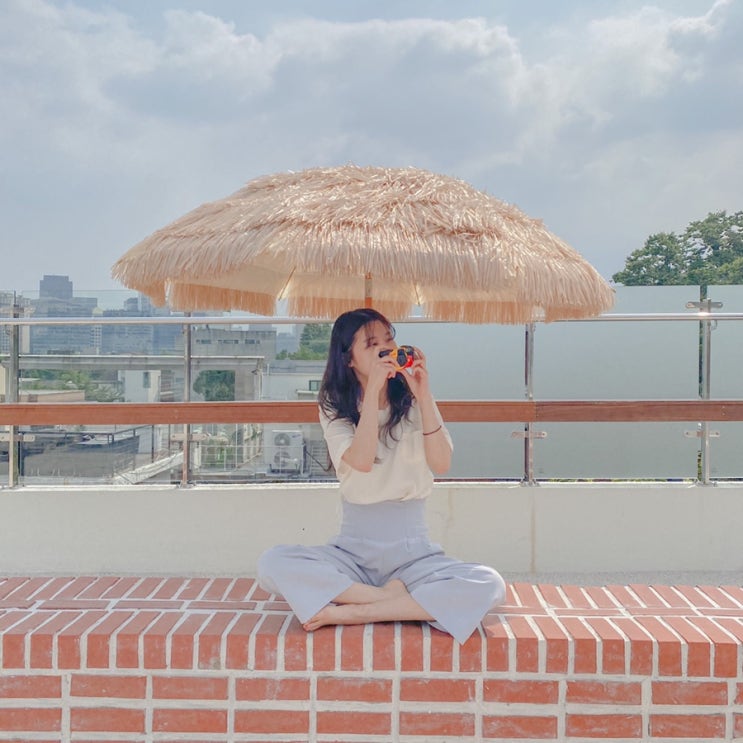  삼청동 루프탑 카페 : 한옥뷰 슬로우포레스트 (feat 반려동물)