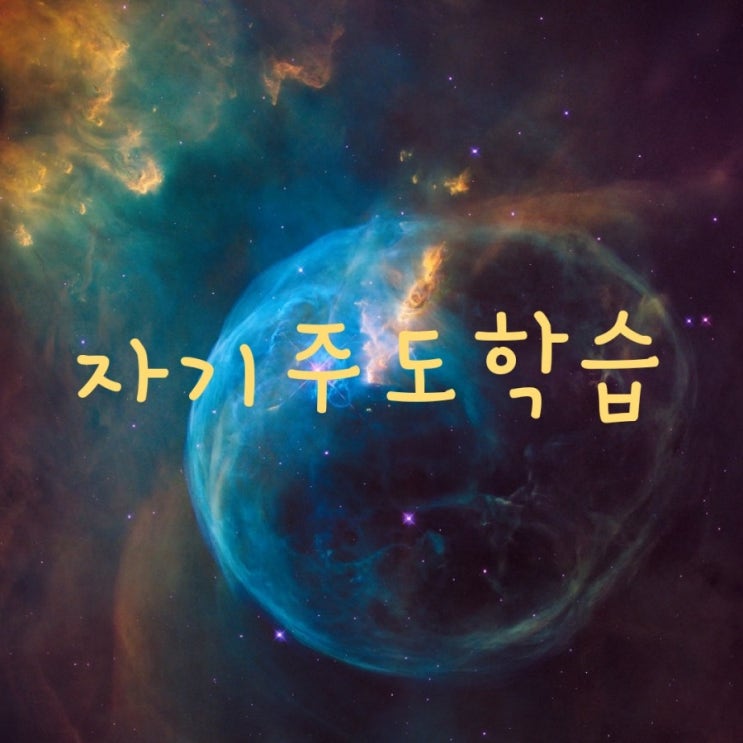 sbs 스페셜 자기주도학습    why 공부법/ 우리 아들은 어떻게 하고 있을까?