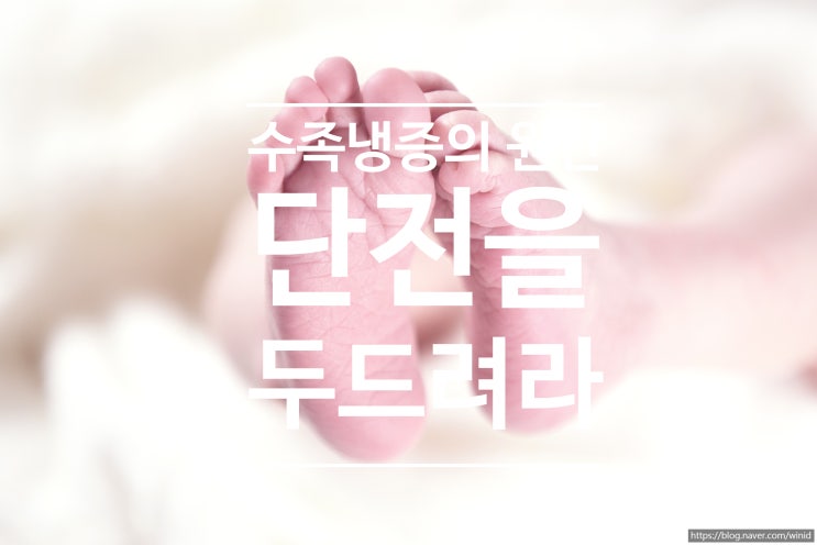  수족냉증의 원인(Feat. 단전을 두드려라)