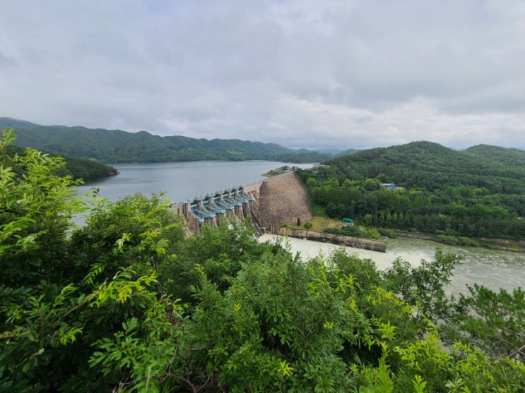 [충북] 청주와 대전에 위치한 금강을 위한 대청댐