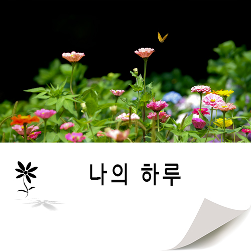  하루