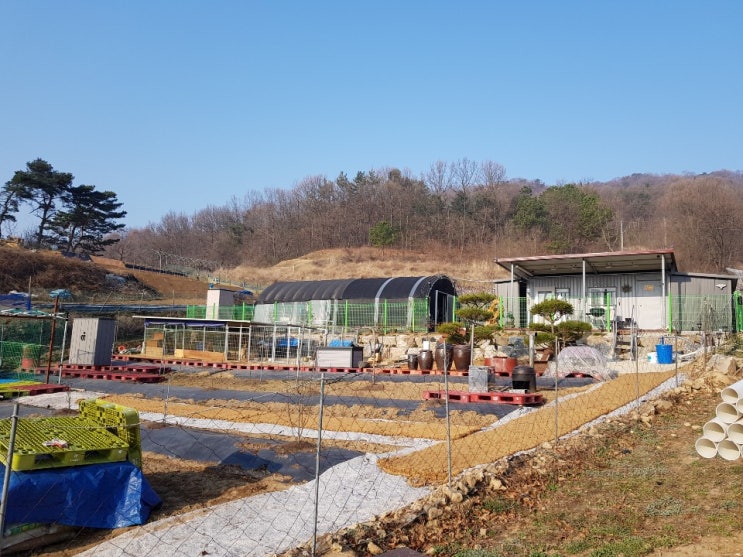  세종시 부동산 귀농 귀촌 전망이 매우 맑음입니다.