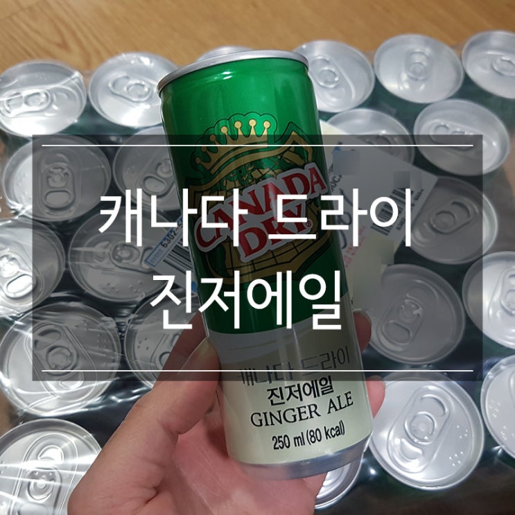달지않은 탄산음료 추천 <캐나다드라이 진저에일> 정보 및 유통기한 달지않은 탄산음료 추천 <캐나다드라이 진저에일> 정보 및 유통기한