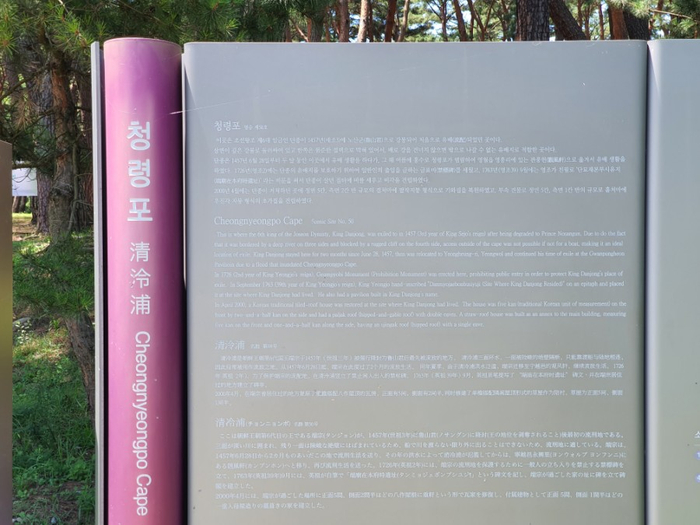  강원도 영월 가볼만한 곳 단종 유배지 청령포