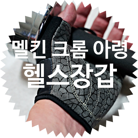  집밖은 위험해! 홈트 덤벨 추천: 멜킨 크롬 아령 + 헬스 장갑 사용 후기